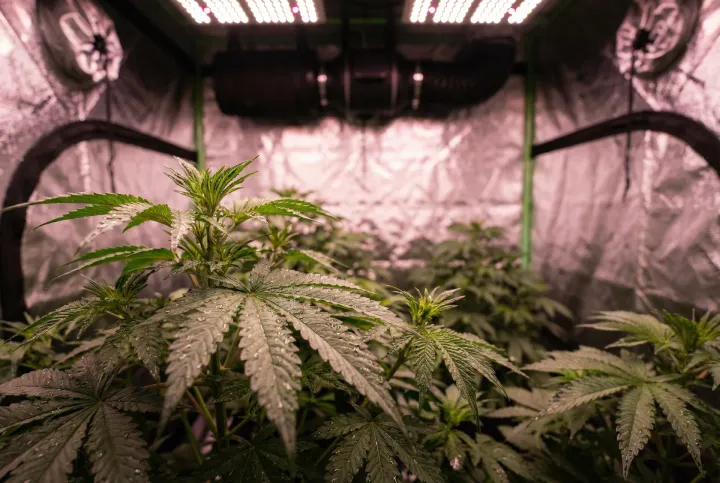 Willkommen bei SafeGrow