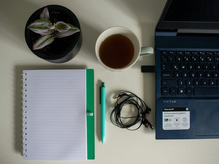 Desk-Setup mit Notebook und Pflanze – organisiert und sicher (SafeGrow)